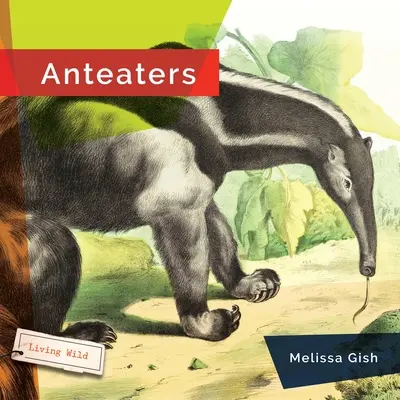 Mravcolevy - Anteaters