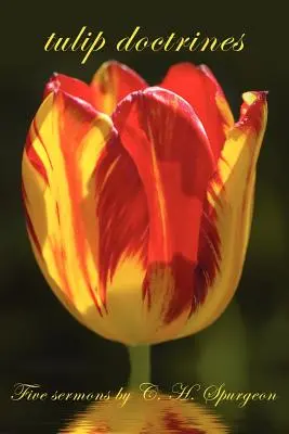 tulipánové učenie - tulip doctrines