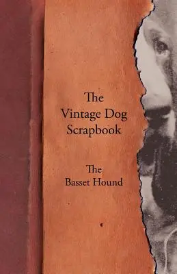 Historický album o psoch - baset - The Vintage Dog Scrapbook - The Basset Hound