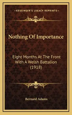 Nič dôležité: Osem mesiacov na fronte s waleským práporom (1918) - Nothing Of Importance: Eight Months At The Front With A Welsh Battalion (1918)