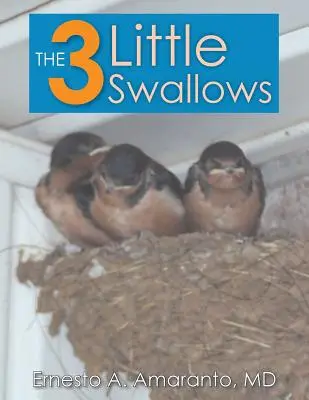 3 malé lastovičky - The 3 Little Swallows