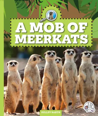 Húf surikát - A Mob of Meerkats