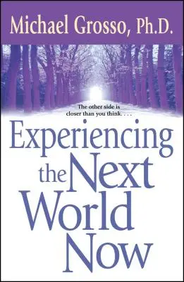 Prežívanie ďalšieho sveta teraz - Experiencing the Next World Now