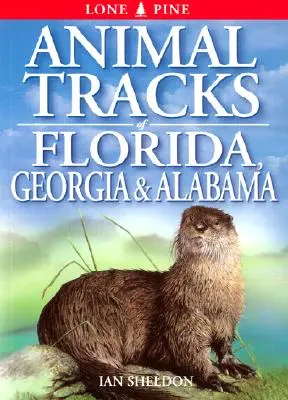 Stopy zvierat na Floride, v Georgii a Alabame - Animal Tracks of Florida, Georgia, Alabama