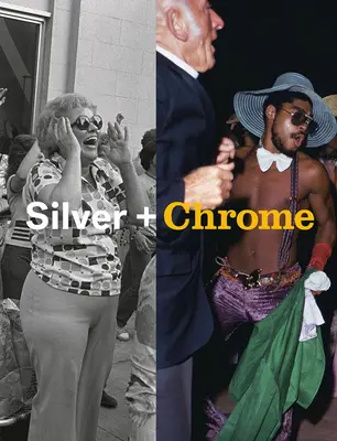 Mitch Epstein: Striebro + chróm - Mitch Epstein: Silver + Chrome