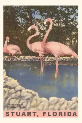 Vintage Journal Plameniaky, Stuart, Florida - Vintage Journal Flamingos, Stuart, Florida