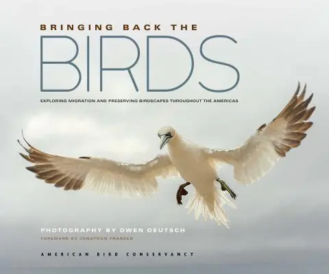 Vráťme vtáctvo späť: Vrátenie vtáctva do Ameriky: skúmanie migrácie a ochrana vtáčej krajiny v celej Amerike - Bringing Back the Birds: Exploring Migration and Preserving Birdscapes Throughout the Americas