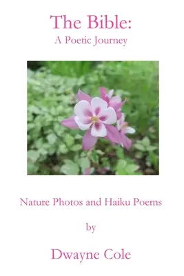 Biblia: Poetická cesta - The Bible: A Poetic Journey