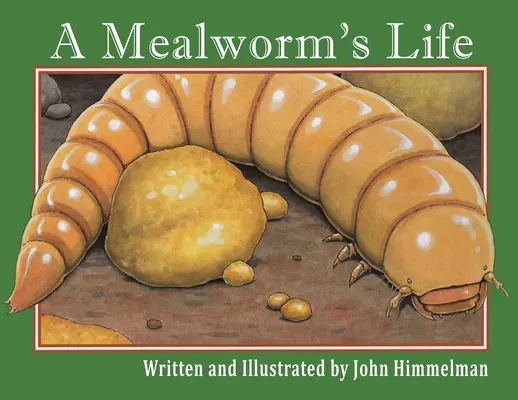 Život múčnych červov - A Mealworm's Life