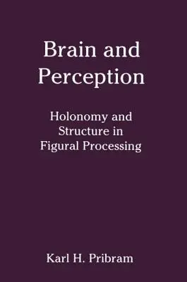 Mozog a vnímanie: Holonómia a štruktúra pri spracovaní obrazových informácií - Brain and Perception: Holonomy and Structure in Figural Processing