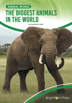Najväčšie zvieratá na svete - The Biggest Animals in the World