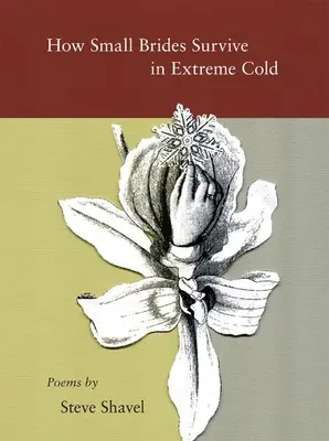 Ako malé nevesty prežívajú v extrémnych mrazoch - How Small Brides Survive in Extreme Cold