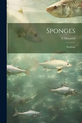 Huby; Poriferae - Sponges; Poriferae