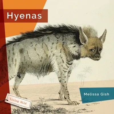 Hyeny - Hyenas