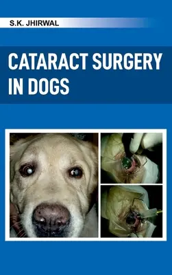 Operácia sivého zákalu u psov - Cataract Surgery in Dogs