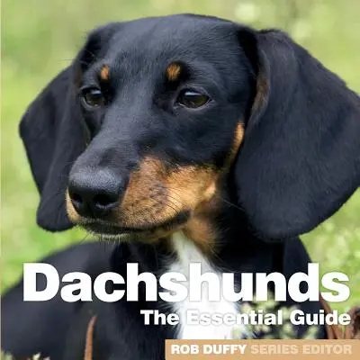 Jazvečíky: Základný sprievodca - Dachshunds: The Essential Guide