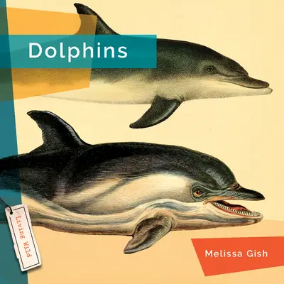 Delfíny - Dolphins