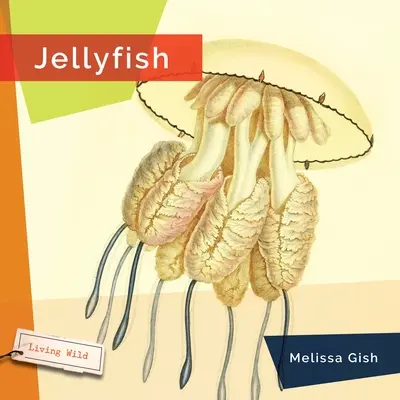 Medúzy - Jellyfish