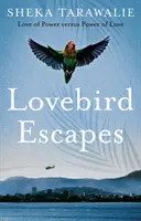 Vtáčie úteky - Láska moci verzus moc lásky - Lovebird Escapes - Love of Power versus Power of Love