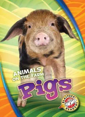 Ošípané - Pigs