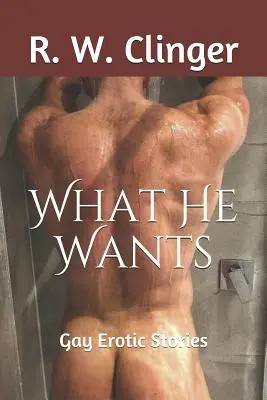 Čo chce: Erotické príbehy pre homosexuálov - What He Wants: Gay Erotic Stories
