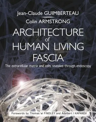 Architektúra ľudskej živej fascie: Extracelulárna matrix a bunky odhalené prostredníctvom endoskopie - Architecture of Human Living Fascia: The Extracellular Matrix and Cells Revealed Through Endoscopy
