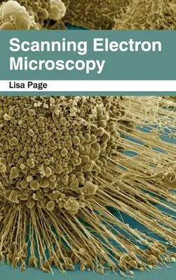 Skenovacia elektrónová mikroskopia - Scanning Electron Microscopy