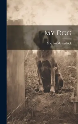 Môj pes - My Dog