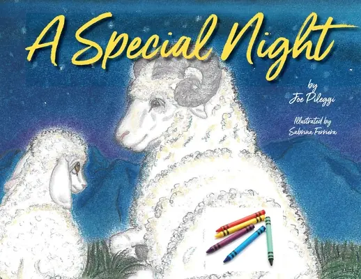 Zvláštna noc: vianočné maľovanky - A Special Night: a Christmas coloring book