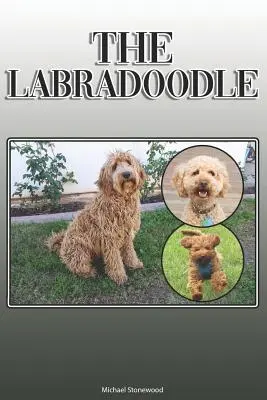 Labradoodle: Úplná a komplexná príručka pre majiteľov: Kúpa, vlastníctvo, zdravie, starostlivosť, výcvik, poslušnosť, porozumenie a - The Labradoodle: A Complete and Comprehensive Owners Guide to: Buying, Owning, Health, Grooming, Training, Obedience, Understanding and