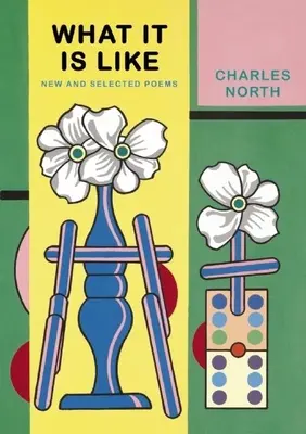 Aké to je: Nové a vybrané básne - What It Is Like: New and Selected Poems