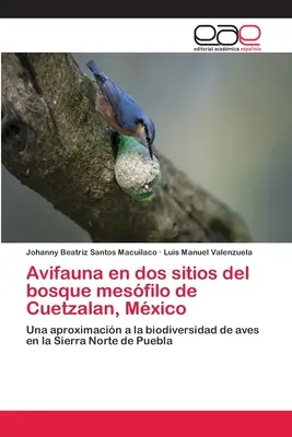 Avifauna en dos sitios del bosque mesfilo de Cuetzalan, Mxico