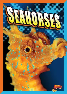 Morské koníky - Seahorses