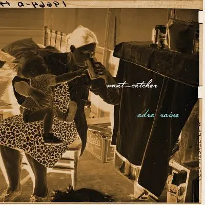 Lovec túžob: Záznam o písaní v tehotenstve - Want-Catcher: A Record of Pregnant Writing