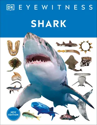 Ponorite sa do fascinujúceho sveta žralokov - Shark: Dive Into the Fascinating World of Sharks