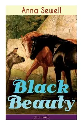 Čierna krása (Ilustrované): Klasika svetovej literatúry - Black Beauty (Illustrated): Classic of World Literature