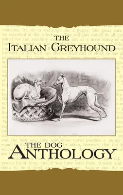 Taliansky chrt: Psí antológia - The Italian Greyhound: A Dog Anthology