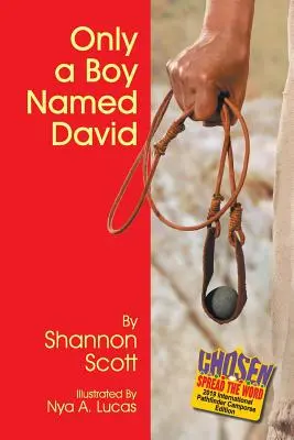 Len chlapec menom Dávid - Only a Boy Named David