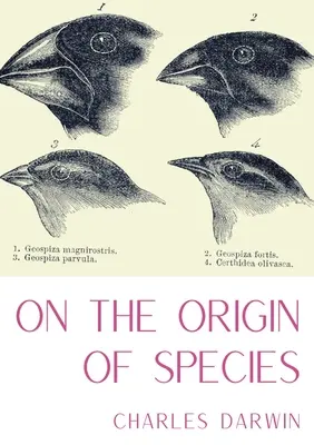 O pôvode druhov: Darwina, ktoré sa považuje za základ evolučnej biológie a za dielo, ktoré sa považuje za základ evolučnej biológie a za dielo, ktoré sa považuje za základ evolučnej biológie. - On the Origin of Species: A work of scientific literature by Charles Darwin which is considered to be the foundation of evolutionary biology and