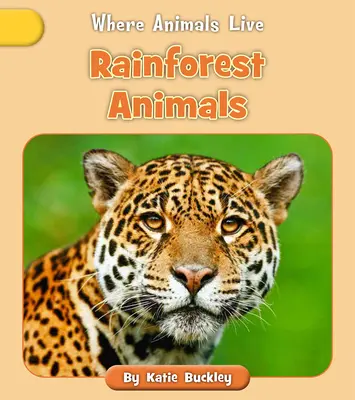 Zvieratá dažďových pralesov - Rainforest Animals
