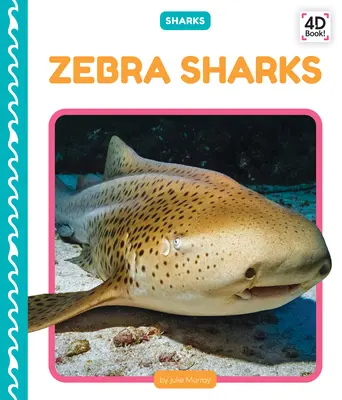 Žraloky zebrovité - Zebra Sharks