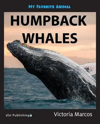 Moje obľúbené zviera: Veľryby hrbaté - My Favorite Animal: Humpback Whales