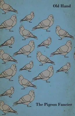 The Pigeon Fancier (Fanúšik holubov) - The Pigeon Fancier