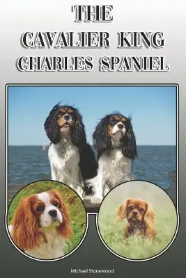Cavalier King Charles Spaniel: Úplná a komplexná príručka pre majiteľov: Kúpa, vlastníctvo, zdravie, starostlivosť, výcvik, poslušnosť, porozumenie - The Cavalier King Charles Spaniel: A Complete and Comprehensive Owners Guide To: Buying, Owning, Health, Grooming, Training, Obedience, Understanding