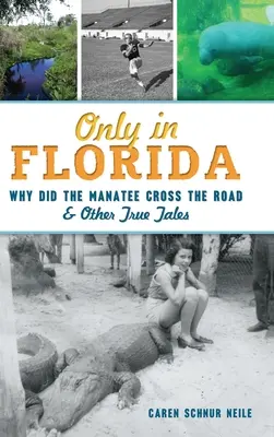 Iba na Floride: Prečo kapustňák prešiel cez cestu a iné pravdivé príbehy - Only in Florida: Why Did the Manatee Cross the Road and Other True Tales