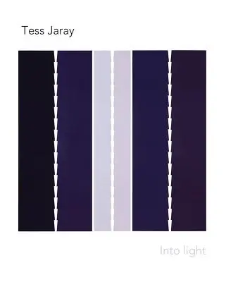 Tess Jarayová: Do svetla - Tess Jaray: Into Light