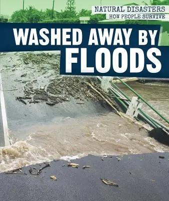 Odplavené povodňami - Washed Away by Floods