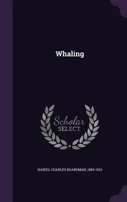 Veľrybárstvo - Whaling