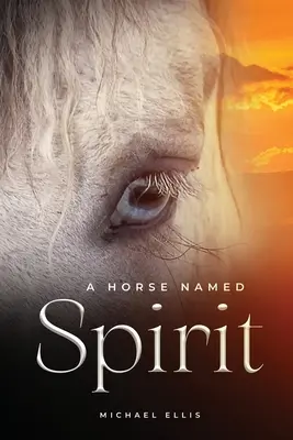 Kôň menom Duch - A Horse Named Spirit