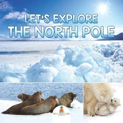 Preskúmajme severný pól - Let's Explore the North Pole